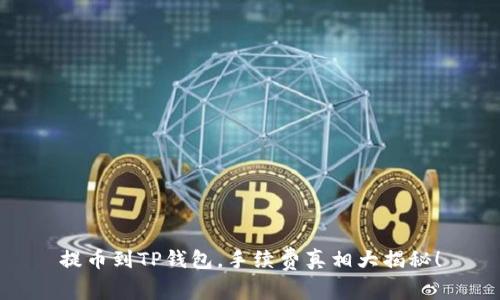 提币到TP钱包，手续费真相大揭秘！